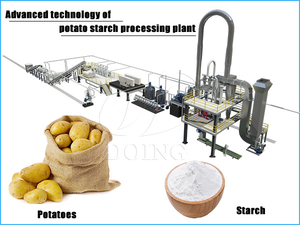 Advanced technology of potato starch processing plant