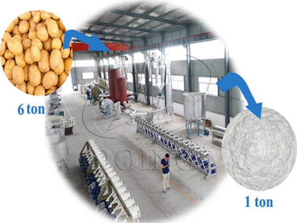 Potato starch factory