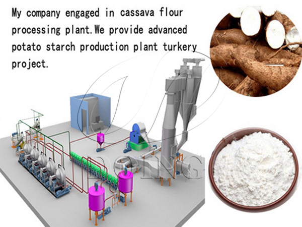 Cassava starch processing factory