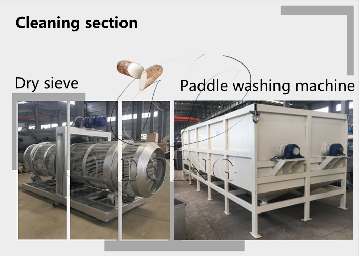 cassava flour cleanin section