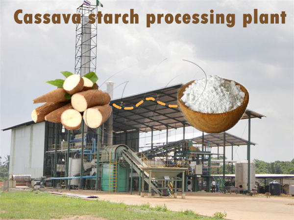 The working process video of cassava starch production line