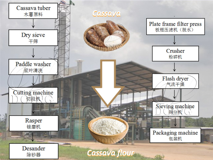 cassava flour process