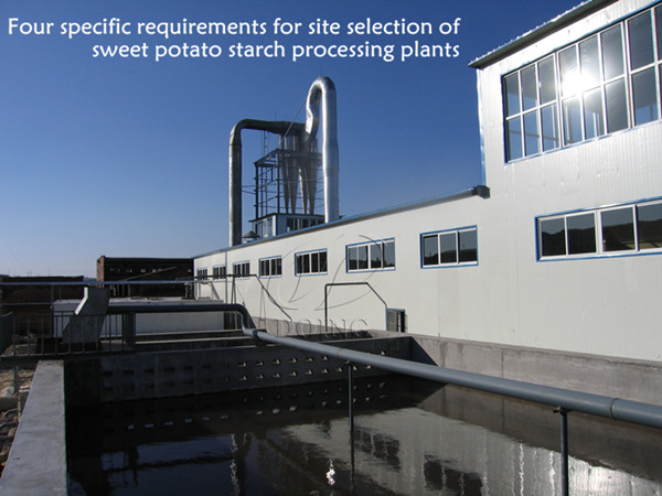 Four specific requirements for site selection of sweet potato starch processing plants