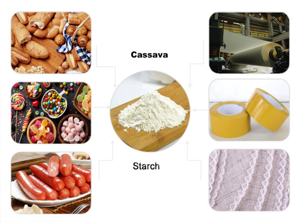 What is the use of cassava starch and what capacity can it be applied?