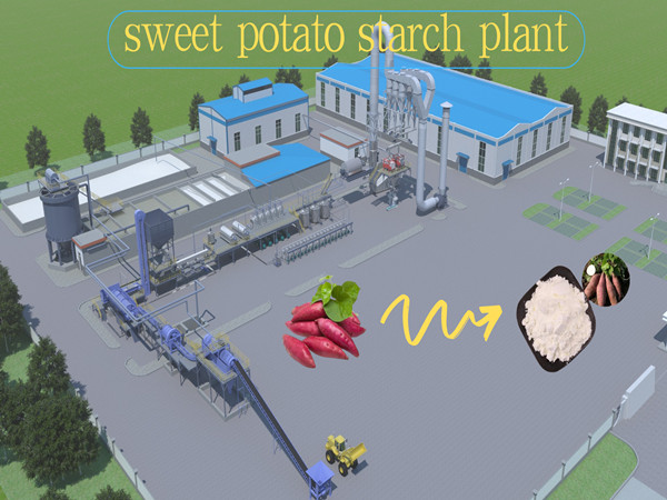 Wet technology sweet potato starch working process 3D video