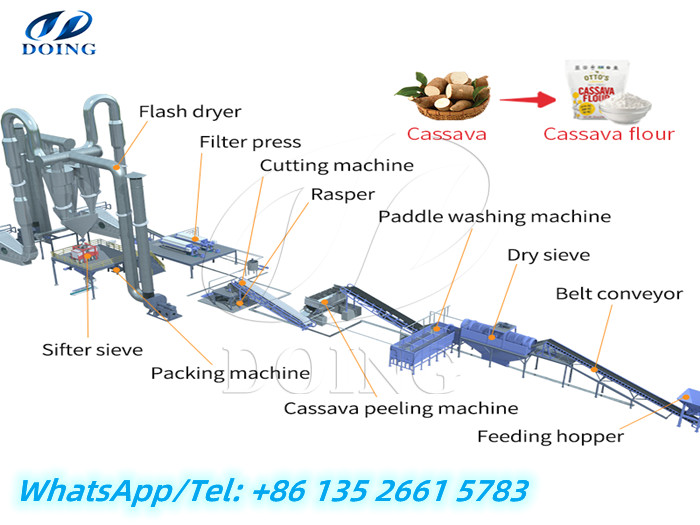 cassava flour processing plant