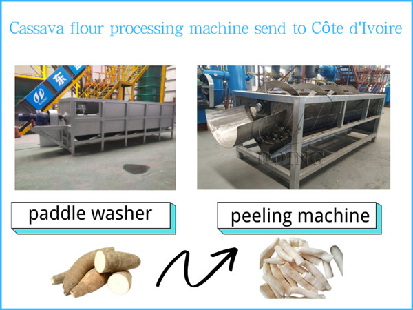 Small-scale cassava flour processing machine from Doing sold to Côte d'Ivoire