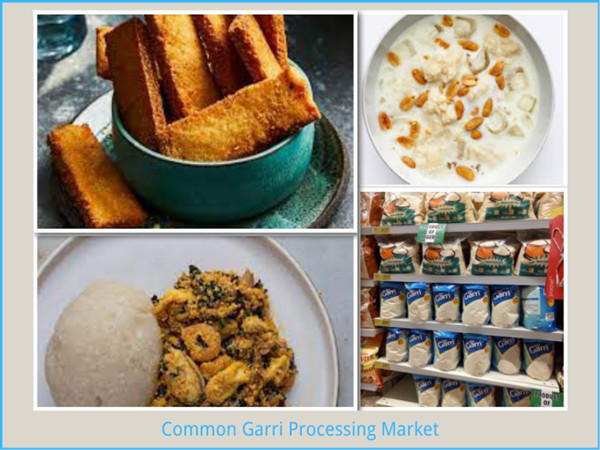 How profitable is garri processing?