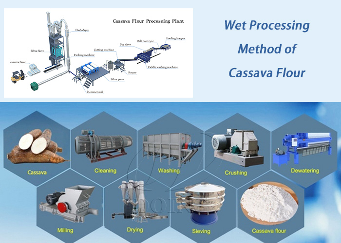 the processing technology and equipment of cassava flour with wet method