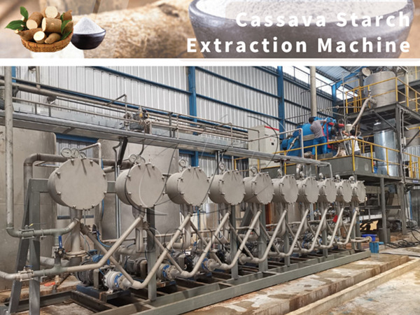 Factors Affecting the Extraction Rate of Cassava Starch