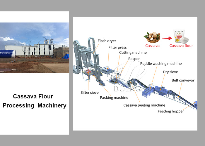 cassava flour processing line work flow