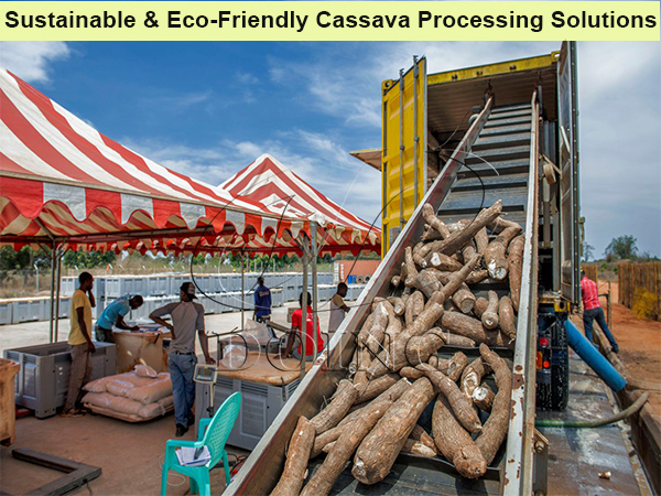Sustainable & Eco-Friendly Cassava Processing Solutions