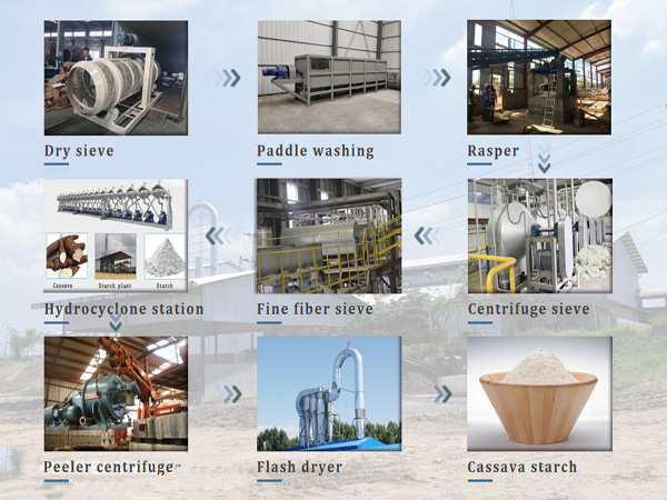 How to Choose Cassava Starch Processing Machine with Limited Capital to Cater for Both Farmers and Market?