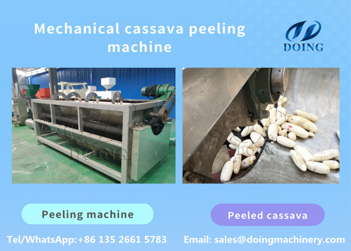 cassava peeling machine
