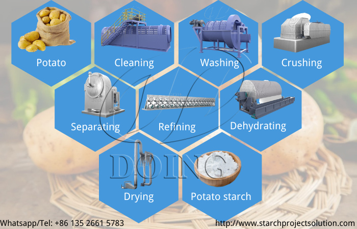 Potato starch production line