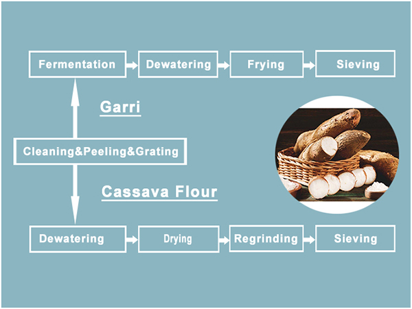 Cut Costs by 30% with the 2-in-1 Garri and Cassava Flour Processing Line