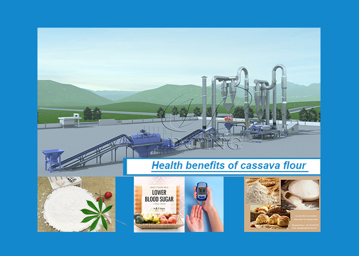 cassava flour processing business
