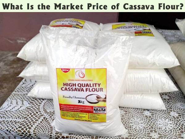 What Is the Market Price of Cassava Flour and Is Cassava Flour Processing Profitable?