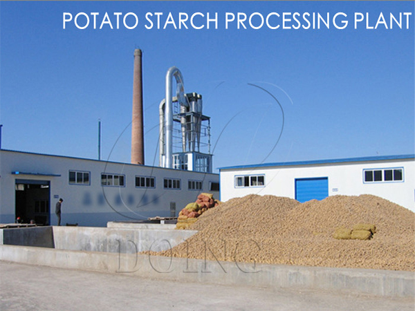 How Many Tons of Potatoes Make 1 Ton of Starch? How to Start a Profitable Potato Starch Processing Business?