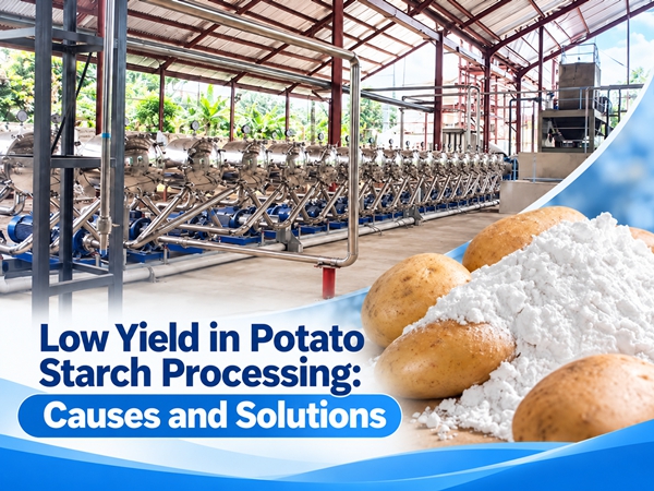 Low Yield in Potato Starch Processing: Causes and Solutions