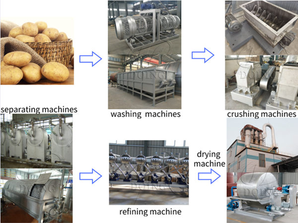 What is the potato starch production process ?