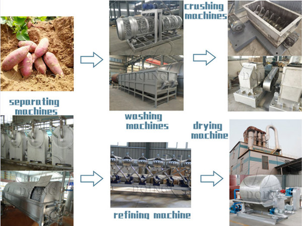 Sweet potato starch processing machinery