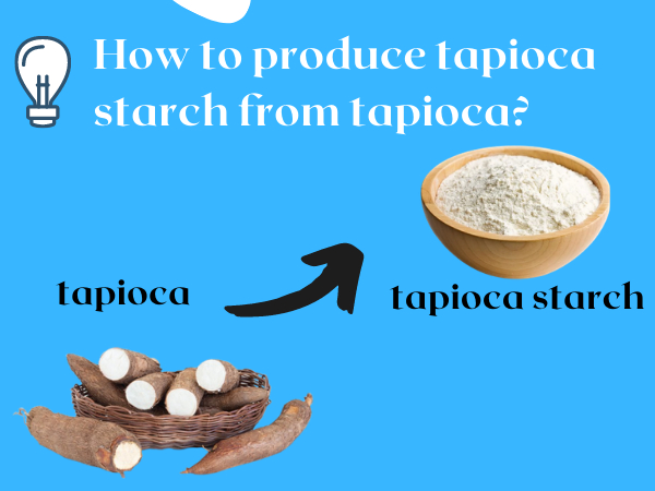 How to produce tapioca starch from tapioca?