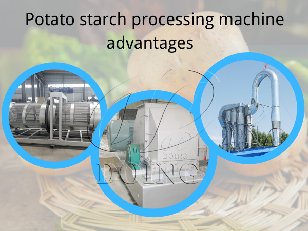 What are the advantages of potato starch processing equipment?