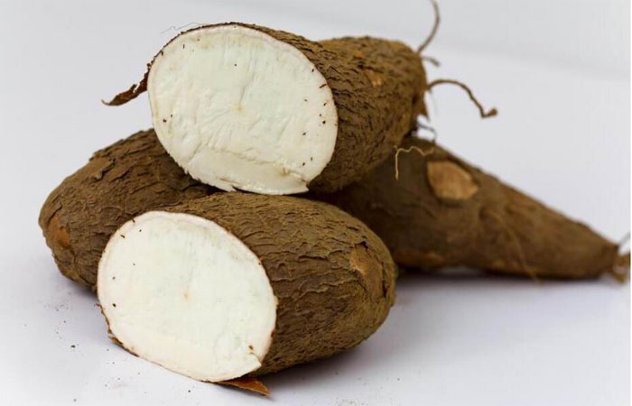 What Is Garri ?