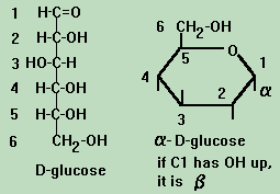 Isomerization of glucose to fructose