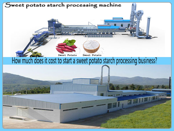 How much does it cost to start a sweet potato starch processing business?