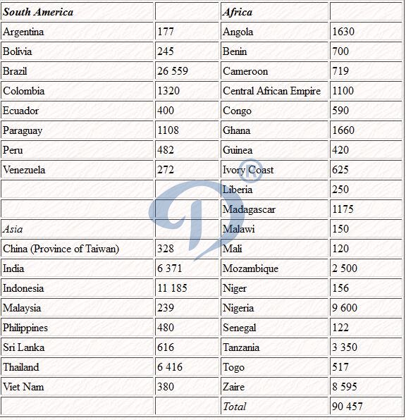 cassava products export