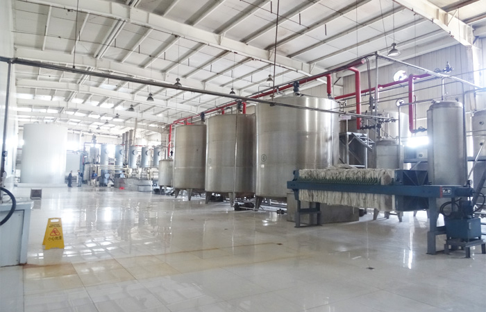 high maltose syrup processing plant