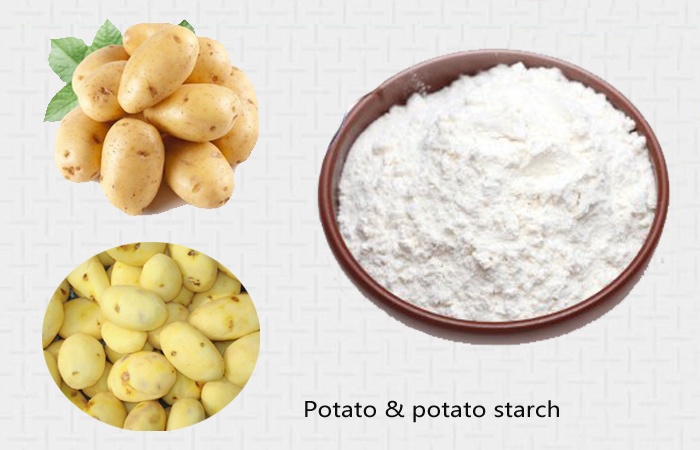 potato starch processing machine