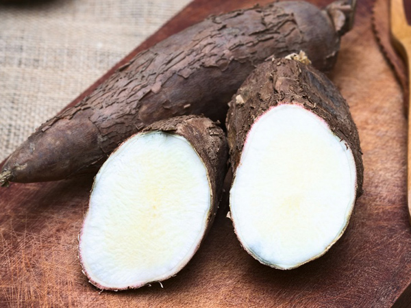 How to produce cassava flour?