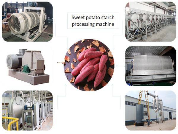 sweet potato starch machine