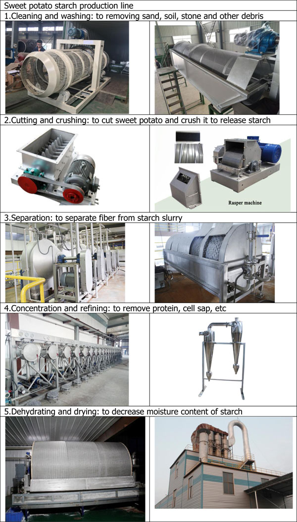 sweet potato starch equipment processing line