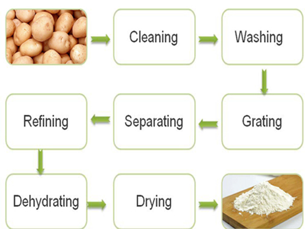 Potato starch processing line