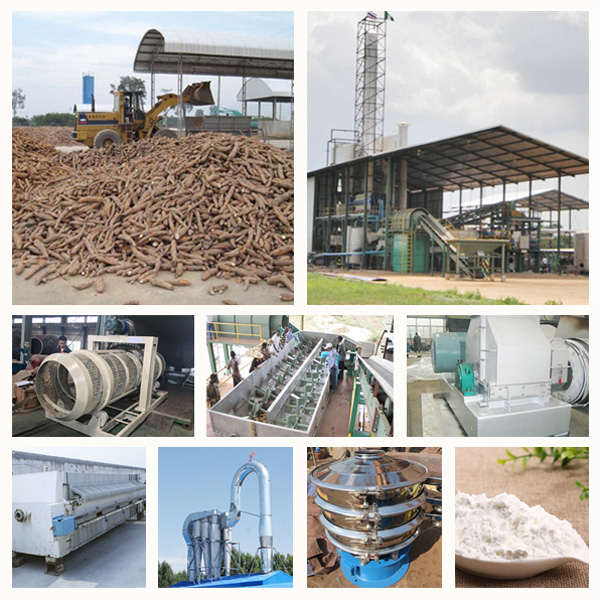 cassava flour milling plant