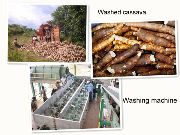 cassava flour milling machine