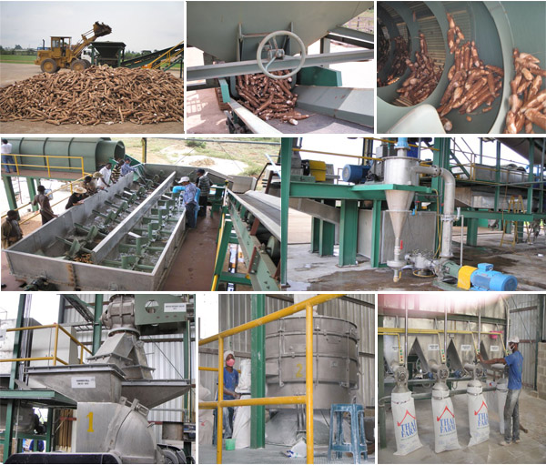 tapioca starch processing machine