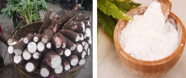 cassava processing