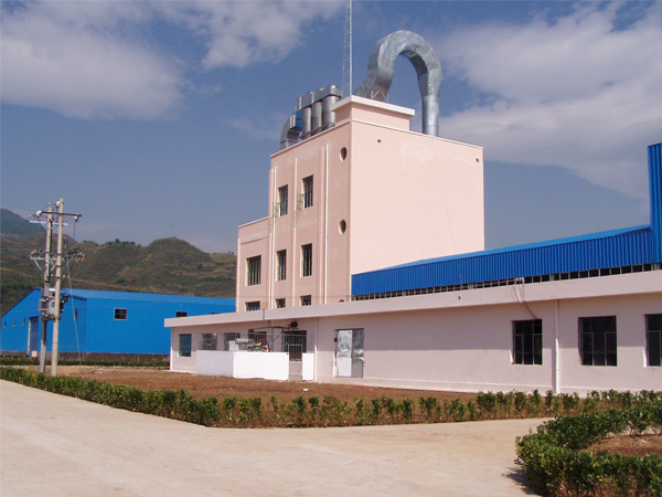 cassava processing plant