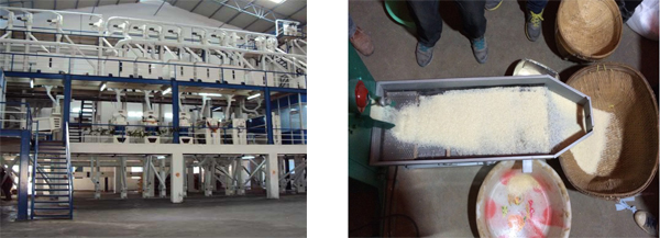 rice miller machine