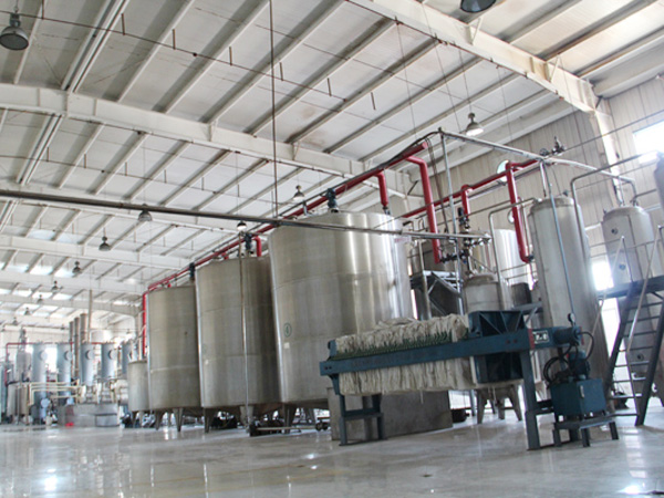 Glucose syrup processing plant