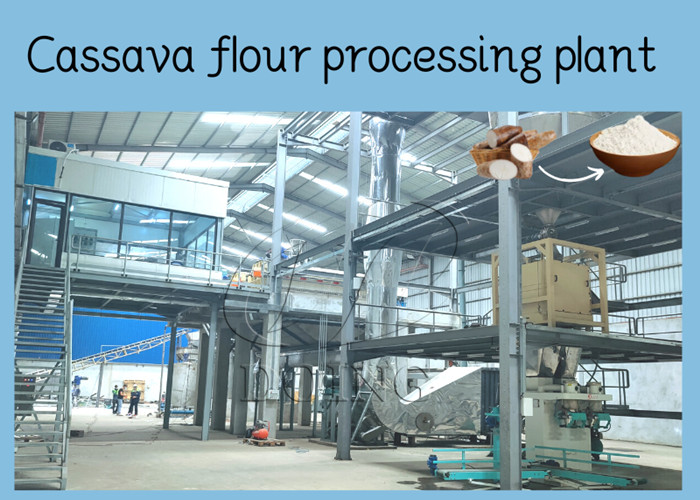 cassava flour plant