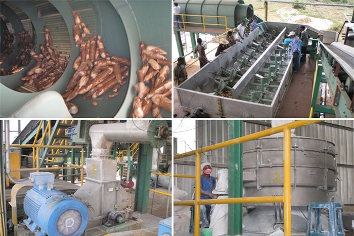 cassava flour plant