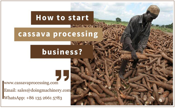 cassava processing business