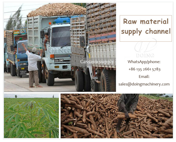 cassava processing