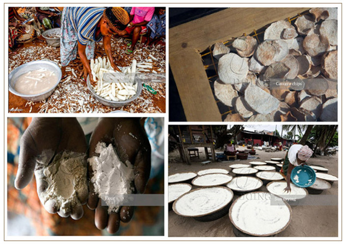 cassava flour production
